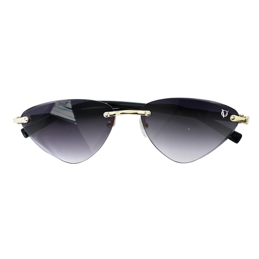 sunglass