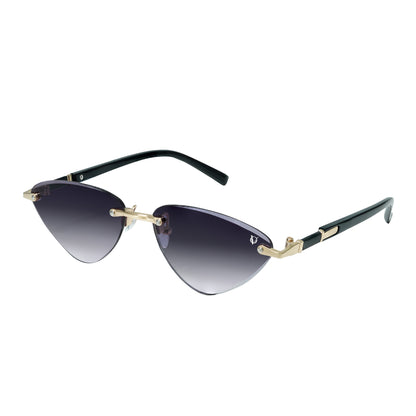 sunglass