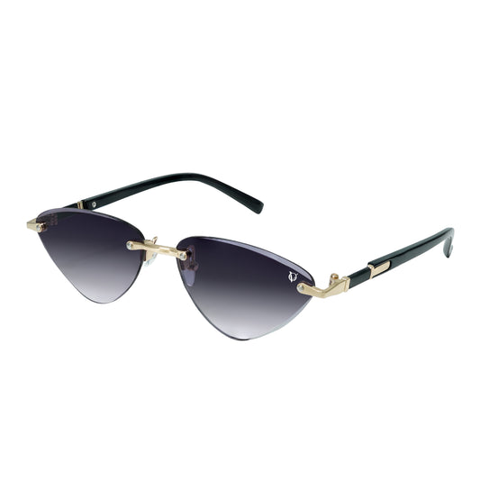 sunglass